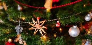 Merry Christmas Wishes Quotes for You Christmas means one thing - family, love, and being happy with what you have. But after a year of hard work and sometimes