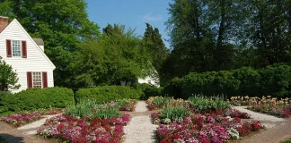 How to make your garden a beautiful place with these simple tricks How to make your garden a beautiful place with these simple tricks