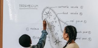 Top 10 Parenting Tips for Successful Kids Encouraging, Practical Tips For Parents To Reach High Potential In Their Children