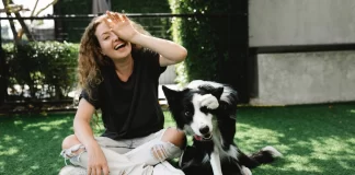 Interesting Facts About Dogs Interesting Facts About Dogs