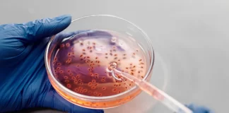 Interesting Fun Facts about DNA Interesting Fun Facts about DNA provides fun and interesting facts about the history of yourself, life and anything else that has the potential for intrigue.