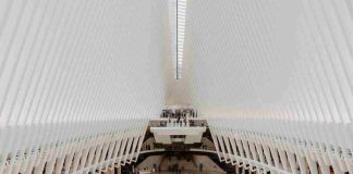 The Dubai Mall – Dubai Tourism – Facts, Address & Things to do The Dubai Mall, also known as the home of the Dubai shopping festival, is one of the biggest mall in the world. It is the ultimate family entertainment destination with The Dubai Aquarium and Underwater Zoo