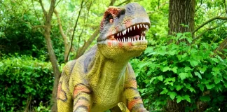 Fun Facts About Dinosaurs The largest dinosaur on record was Argentinosaurus, a 65-million-year-old herbivore which could reach a length of 50 meters and weight of 96 tons