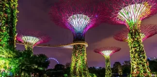 Gardens by the Bay in Singapore | Singapore Tourism