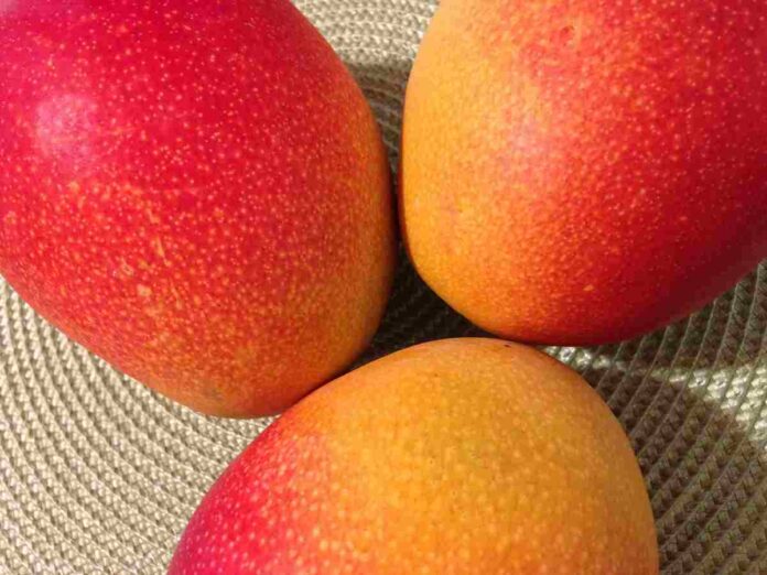 Mangoes