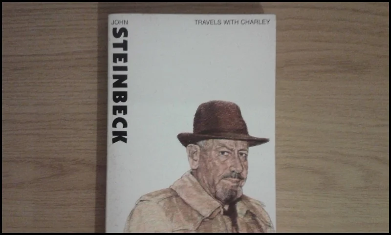 What are some examples of travel writing? 3 sss