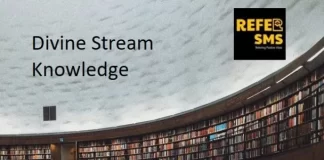 Learn to Walk Alone Divine_Knowledge_Stream