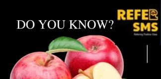 Do you know the benefits of Eating Apple? Purple-Modern-Did-You-Know-News-Instagram-Story-_1_