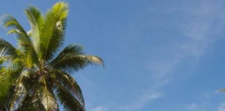Interesting Facts About the Cook Island CookIsland1