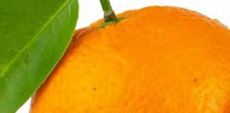 “Orange You Glad You Know? 7 Surprising Health Benefits of Oranges” 7 Things You Should Know Before Eating an Orange