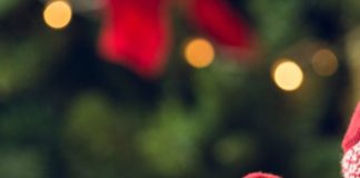 Places to Visit in Canada During Christmas PlacestoVisitinCanadaDuringChristmas1