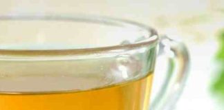 How To Drink Green Tea To Lose Weight cropped-green-tea-compressed.jpg